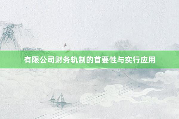 有限公司财务轨制的首要性与实行应用