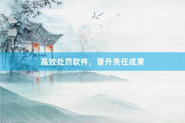 高效处罚软件，晋升责任成果