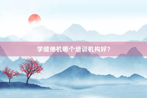 学缱绻机哪个培训机构好？