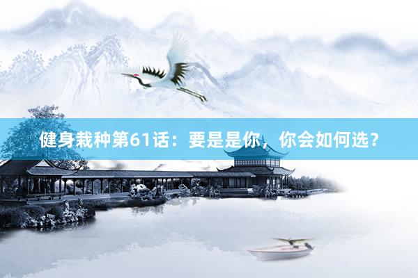 健身栽种第61话：要是是你，你会如何选？